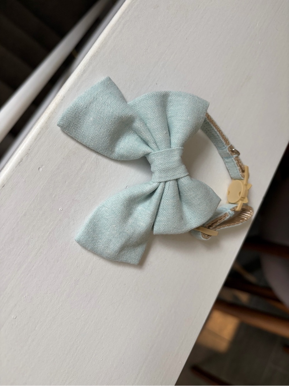 Kitten / Cat Light Blue Bow Collar